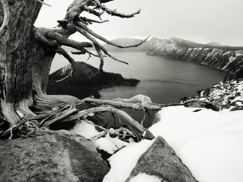 The Most Beautiful Black And White High Resolution Free Wallpapers ...