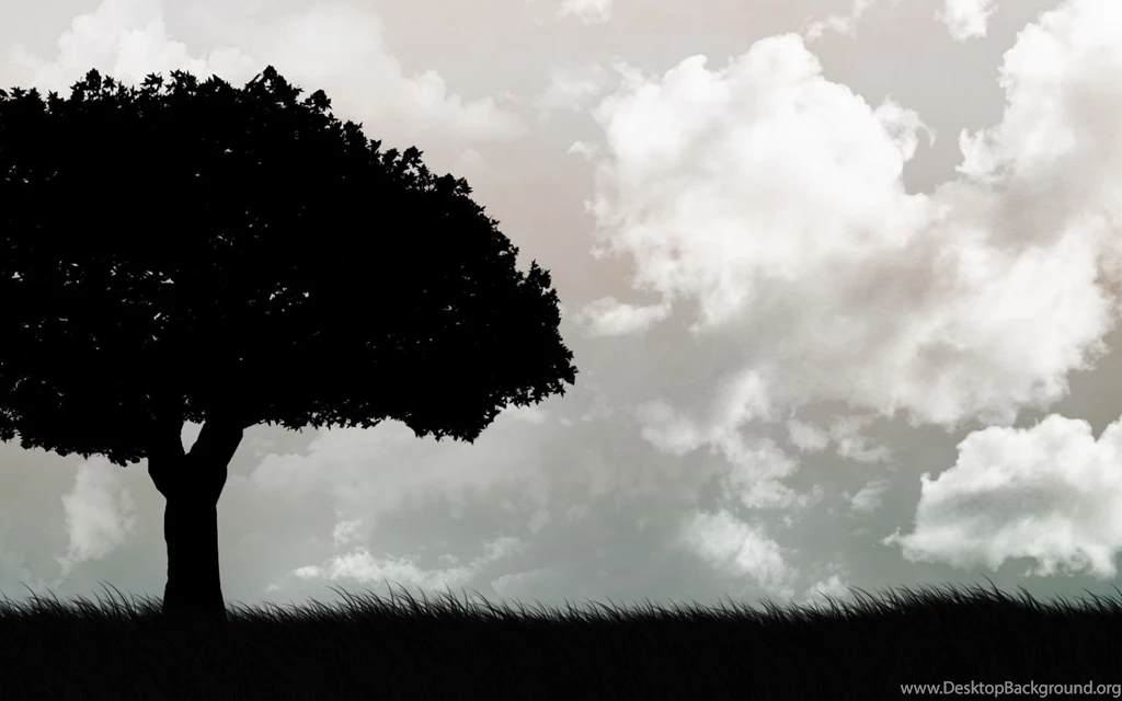 Black And White Wallpapers 5 Best Wallpapers Collection