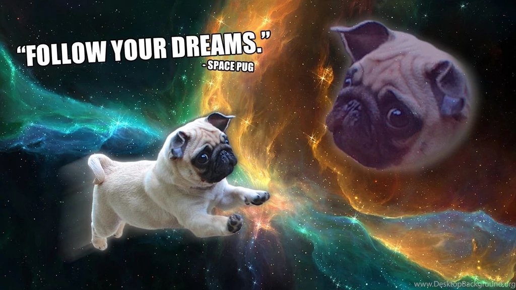 Follow Your Dreams Wallpapers