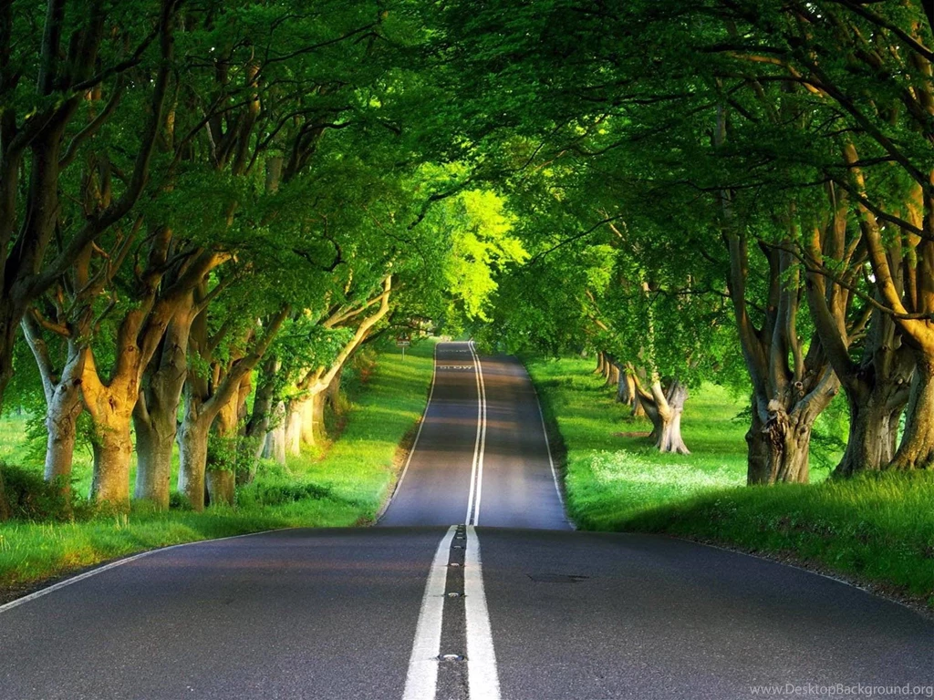 35 Animation Wallpapers In High Definition For Desktops