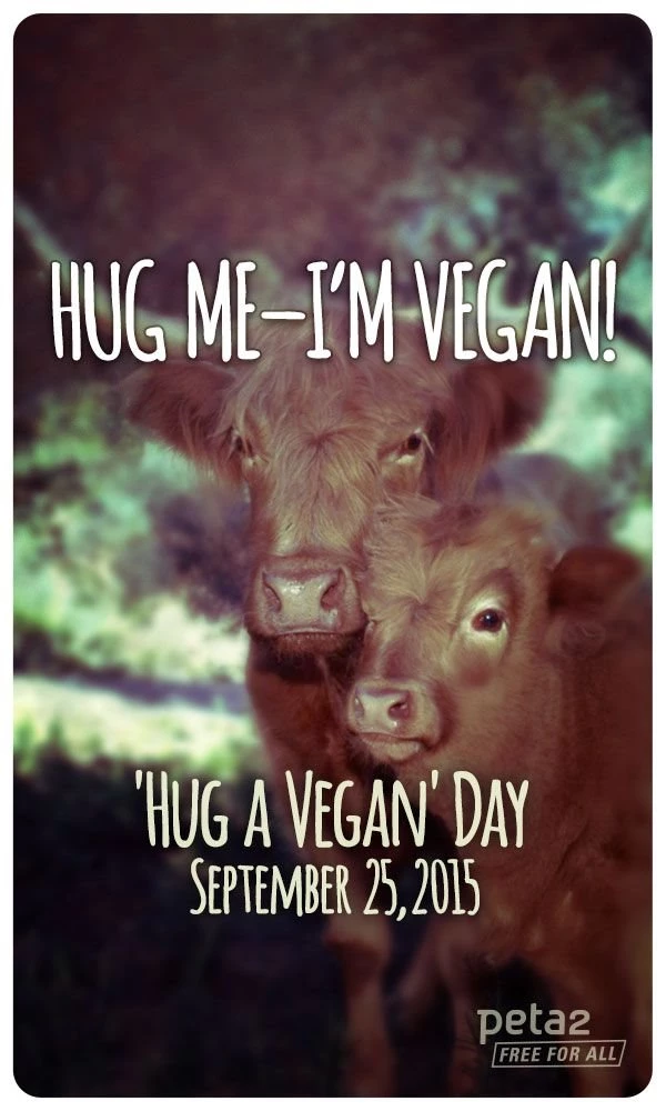 FREE 'Hug A Vegan' Day Phone Wallpapers
