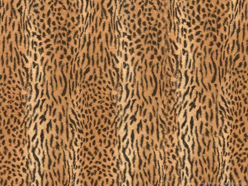 Animal Skin Patterns
