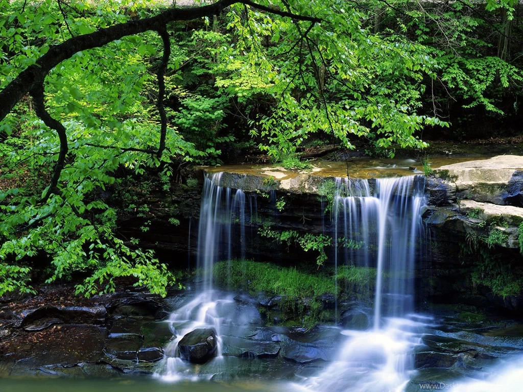 Beautiful Nature River HD Desktop Wallpapers Zibrato