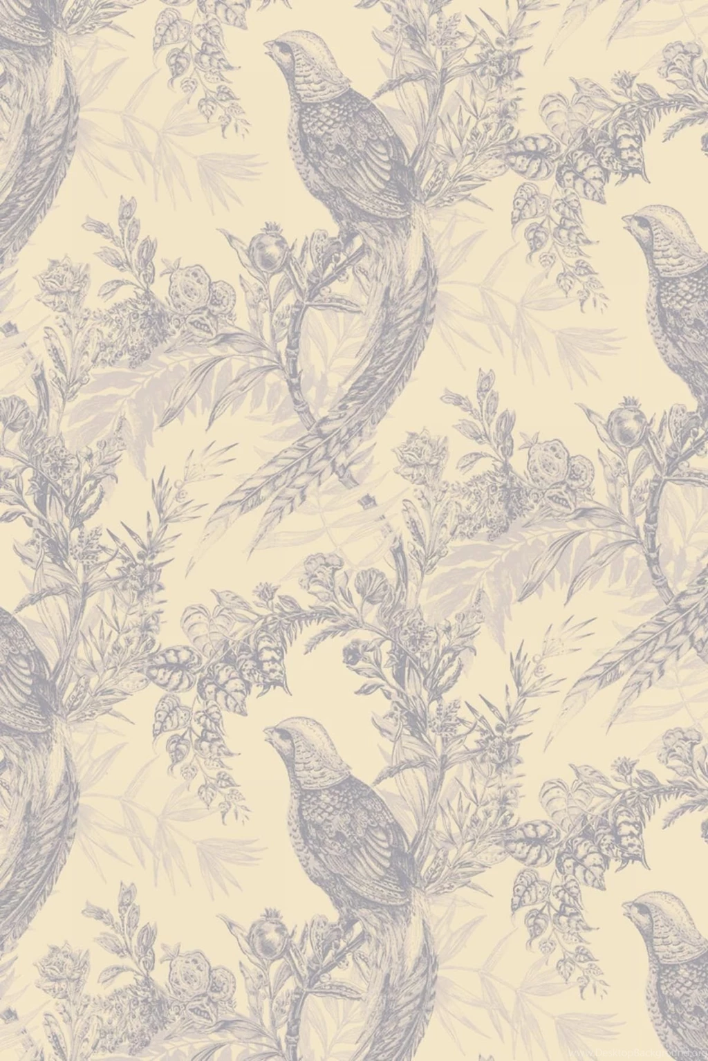 Timorous Beasties Wallcoverings   Pheasant