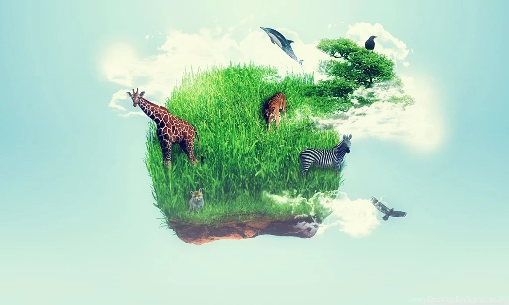 Wildlife HD Desktop Wallpapers : High Definition : Fullscreen : Mobile