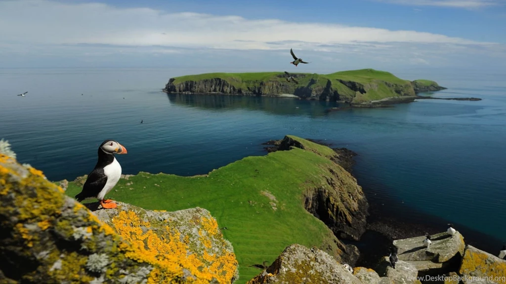 Stunning HD Wallpapers For Your Desktop