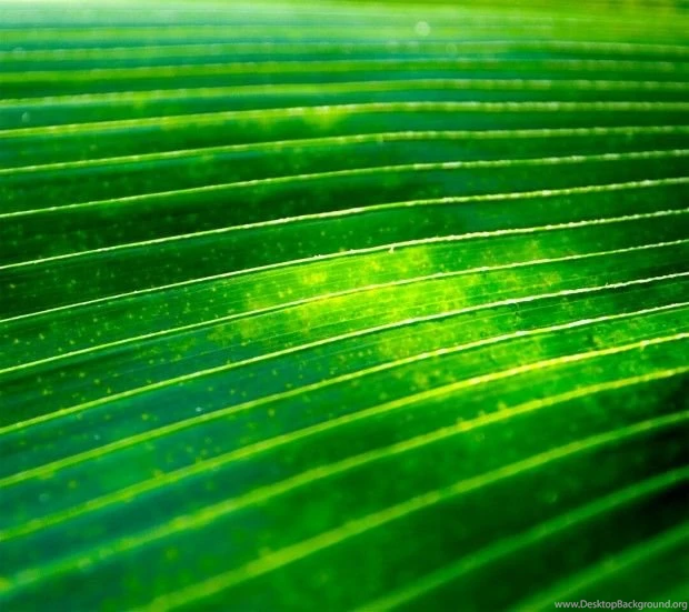 Descarga Los Wallpapers Del Motorola Droid RAZR M En Tu Android ...