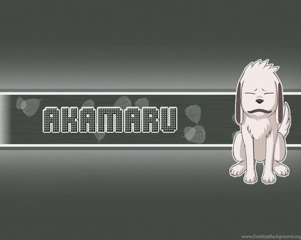 Naruto Wallpapers: Kiba: The Dog Boy