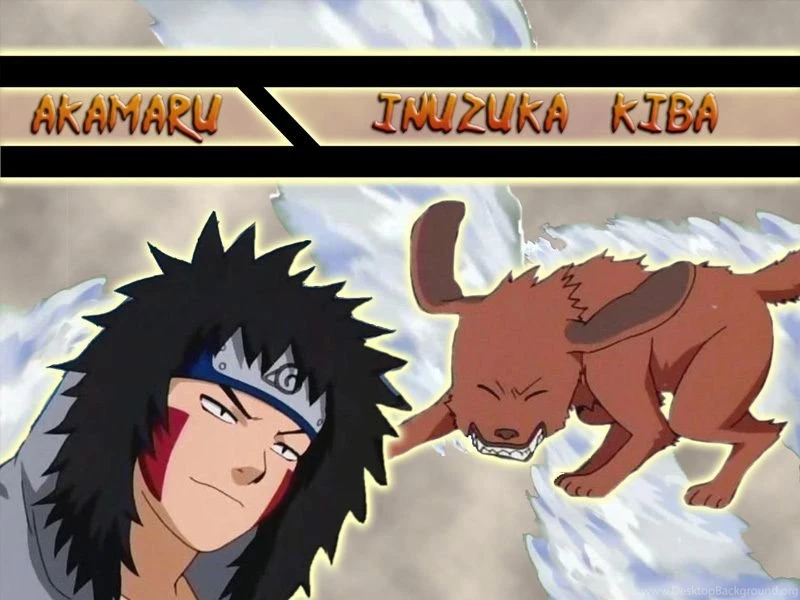Kiba And Akamaru Naruto Wallpapers (926326) Fanpop
