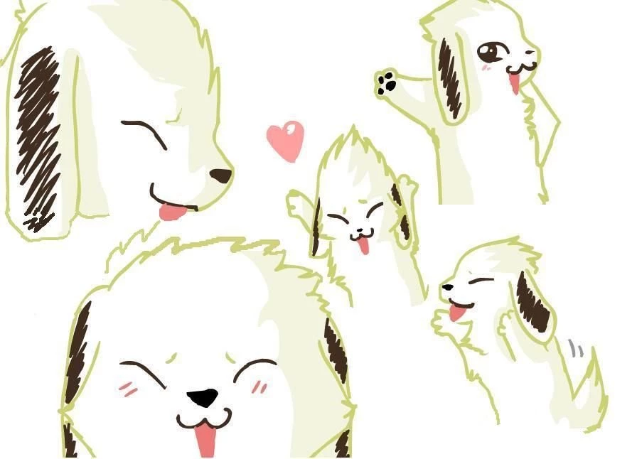 Akamaru Wallpapers 8P By Saya cafalip On DeviantArt
