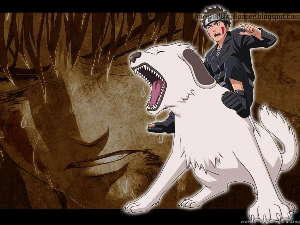 Kiba Inuzuka : Naruto Shippuden Wallpapers