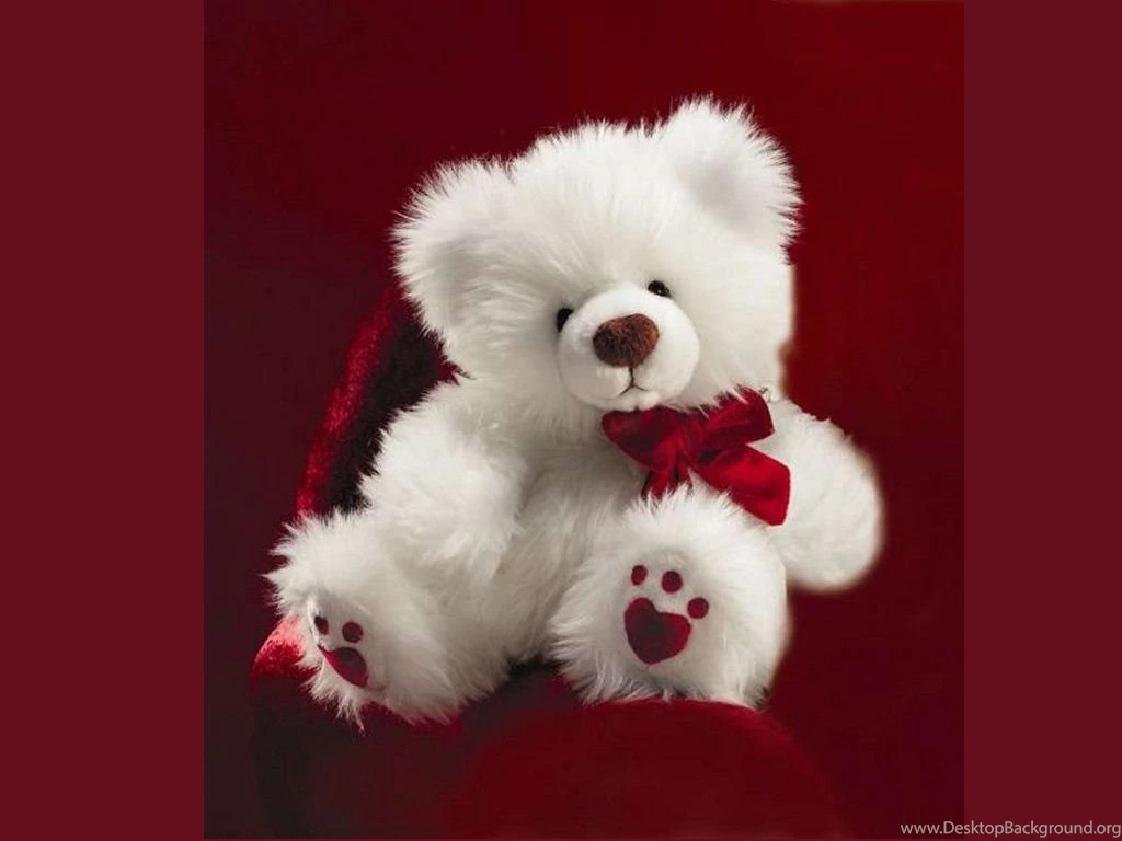 25 Smart Looking Teddy Bear Wallpapers – Life Quotes