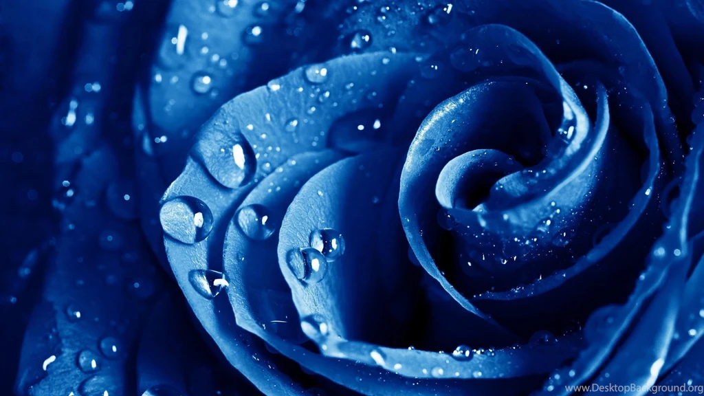 Blue Flower Backgrounds AmusingFun.com