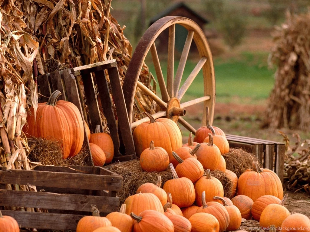 Free Harvest Wallpapers