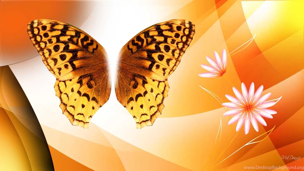 Beautiful Butterfly Backgrounds.jpg