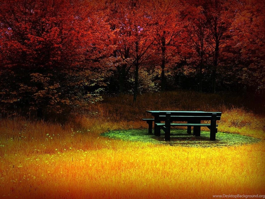 Beautiful Nature Wallpapers For Desktop Free Download Hd