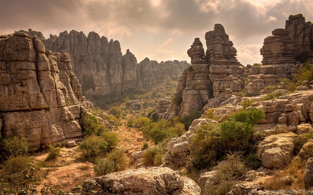 Free download nature wallpapers for desktop.jpg