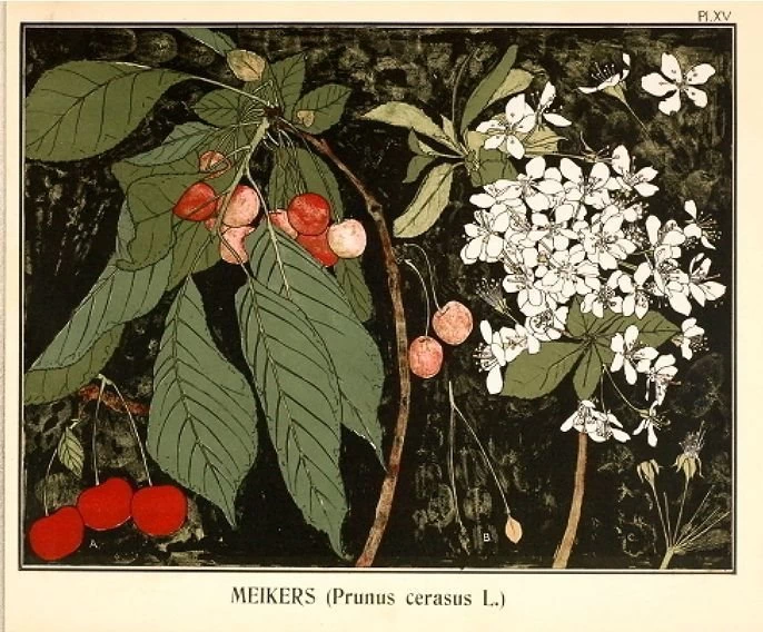 The Antidote To Dirty Snow Decor Arts Now