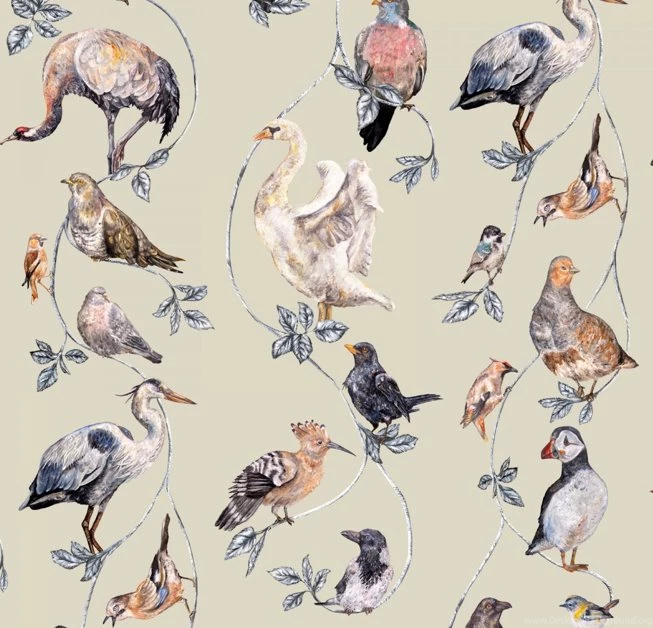 Norinne De Gal: Founder, Walnut Wallpapers