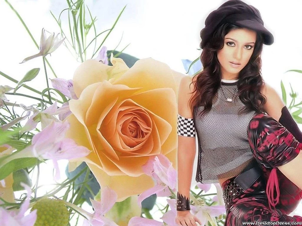 Desktop Wallpapers » Amrita Rao Backgrounds » Page 4 » Www ...