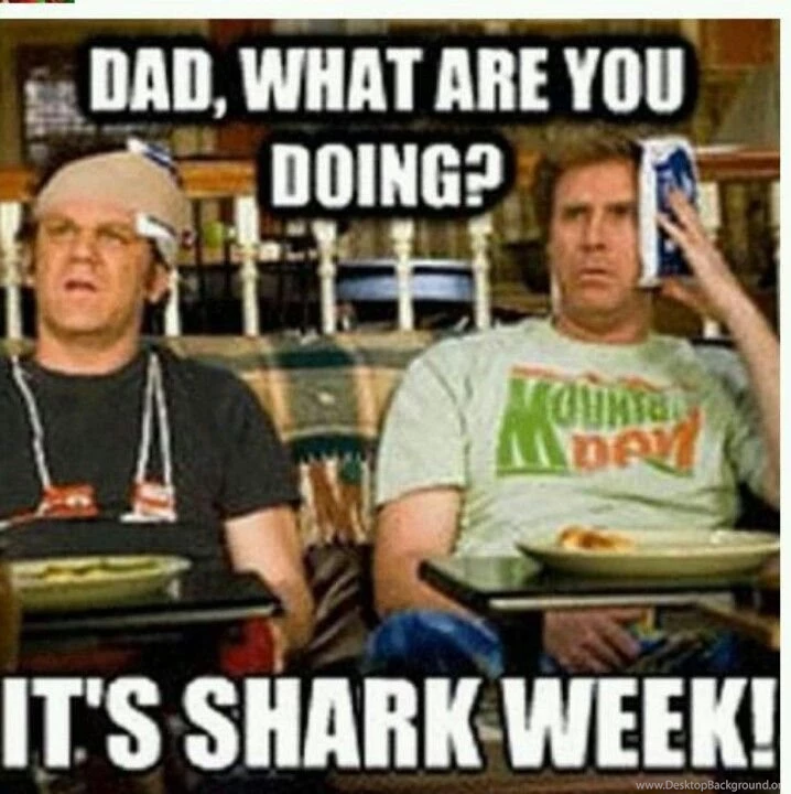 Pictures > Funny Movie Quotes Step Brothers