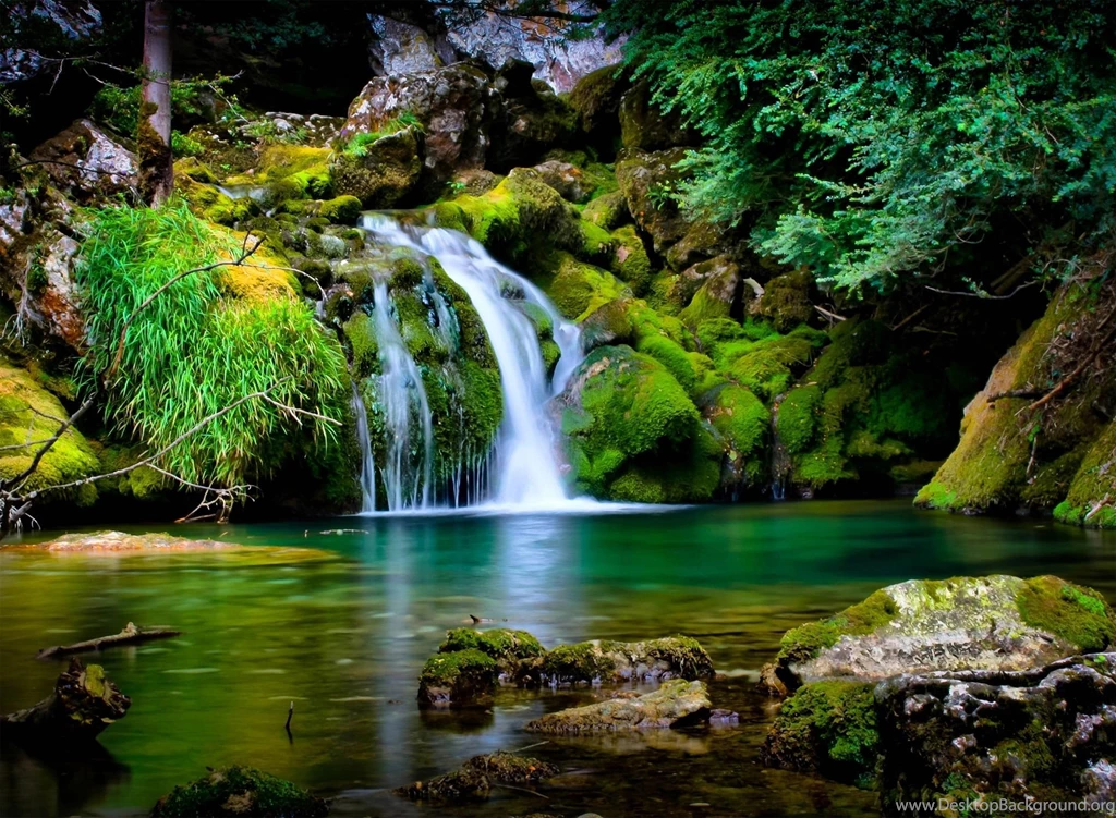 Mobile Wallpaper,download Free Wallpaper,free Images