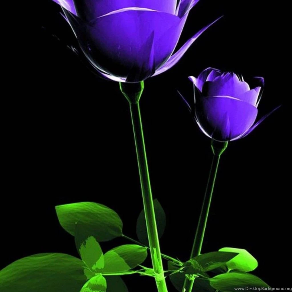 Download Free Nature Wallpapers For Mobile Phones Wallpapers HD Base