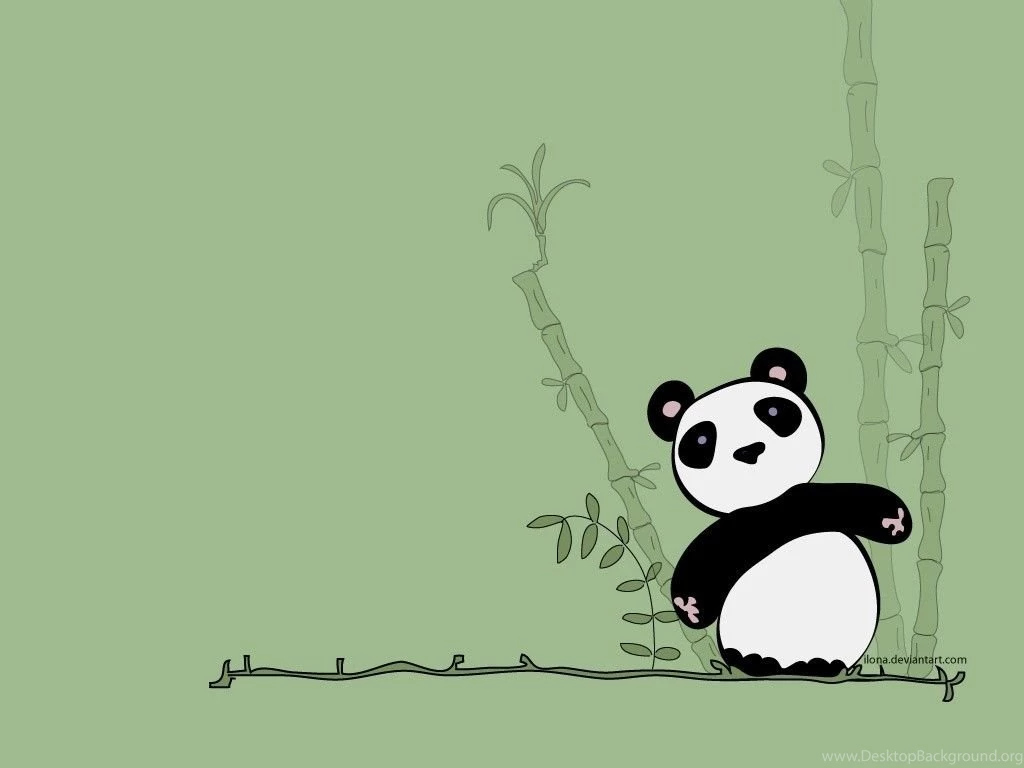 Latest Cute Panda Wallpapers