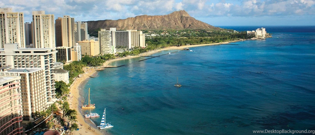 The Beach : Waikiki Beach