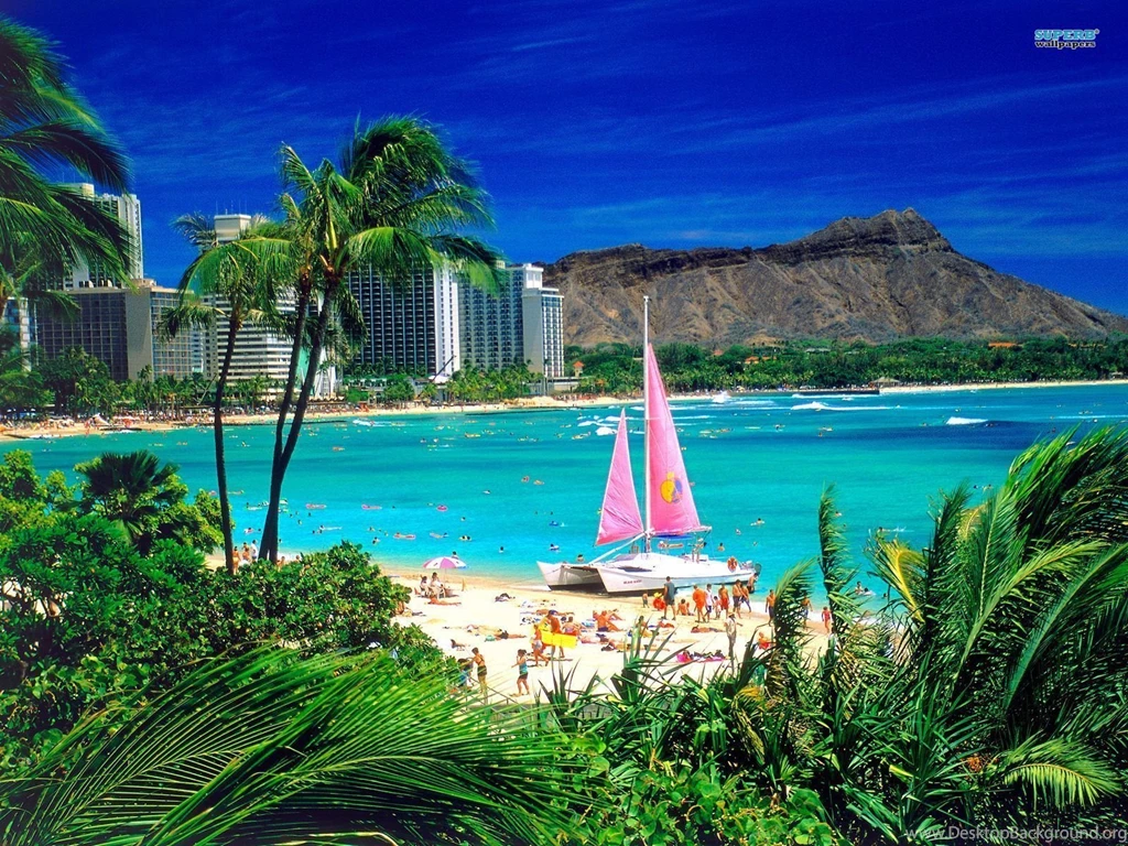 Hawaii Waikiki Wallpapers 51313