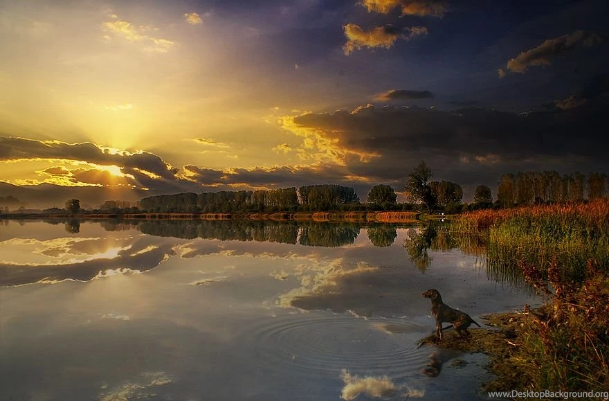 FREE ISLAMIC SOFTWARES