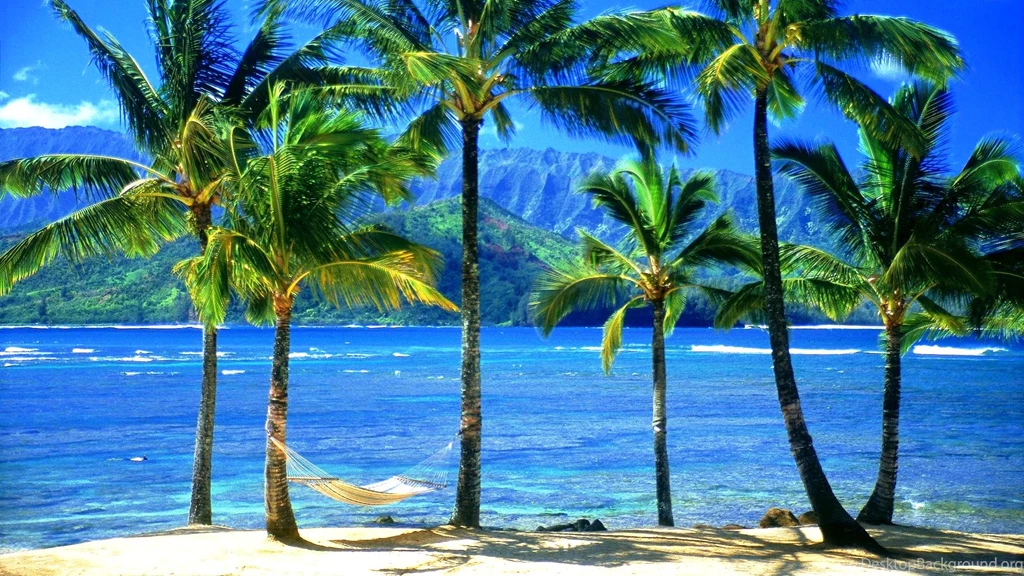The Excitement To Set The Hawaiian Desktop Wallpaper: Beach By ...