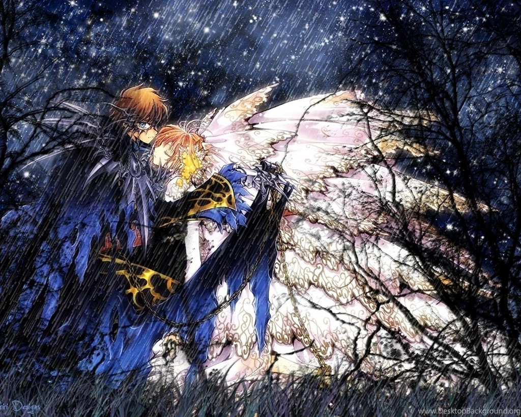 Wallpapers Tsubasa Chronicle Anime Image