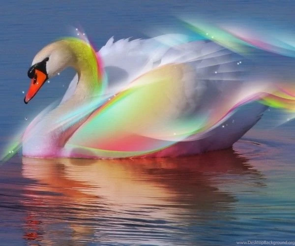 3d wallpapers free download 2 600x500.jpg