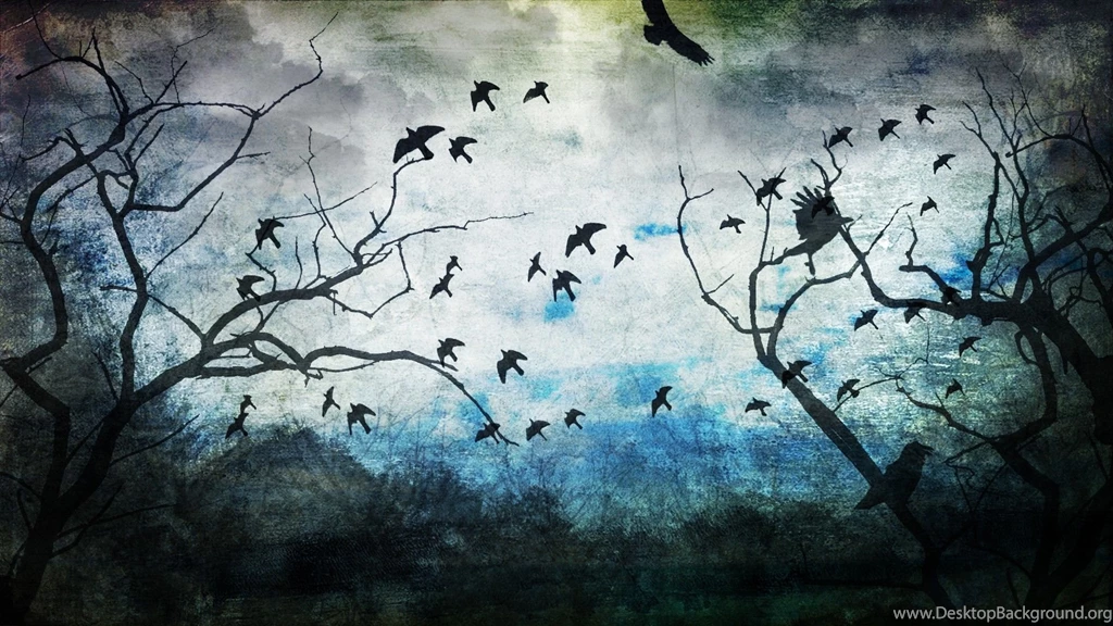 Birds Forest Drawing Nature Art HD Wallpapers New HD Wallpapers