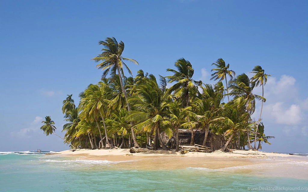 Tropical Palm Island Wallpapers