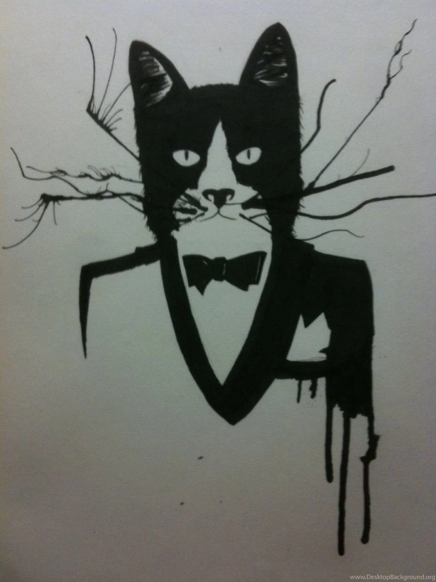 Tuxedo Cat WIP By GumbyDarnit On DeviantArt