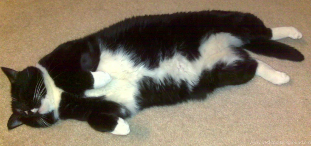 What Would You Do If This Ended Up At Your Front Door?   Page 3