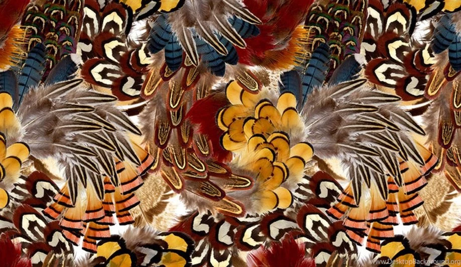 On Exhibit: Marian Bantjes's Dazzling Graphic Design   Azure Magazine