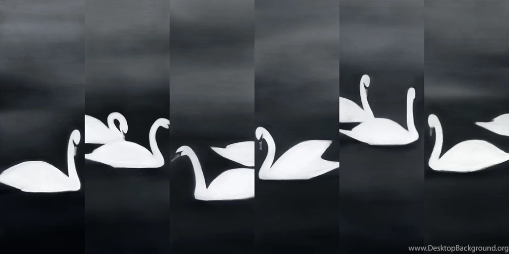 Maharam Digital Projects