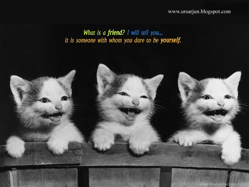 Cute Friends HD Wallpapers