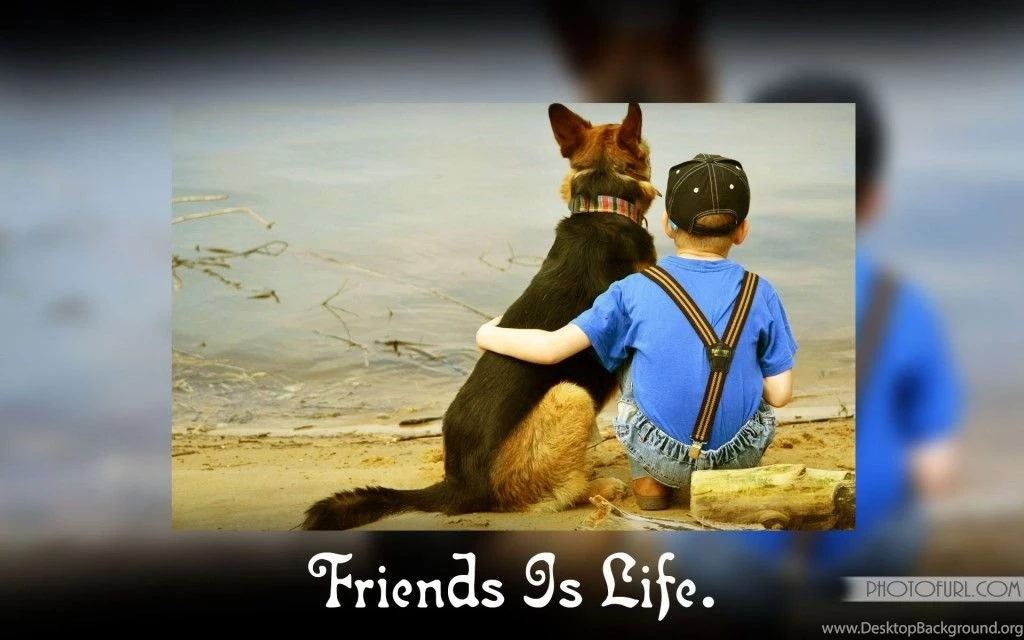 Friendship Photos Free Download – Good Night Pictures Images