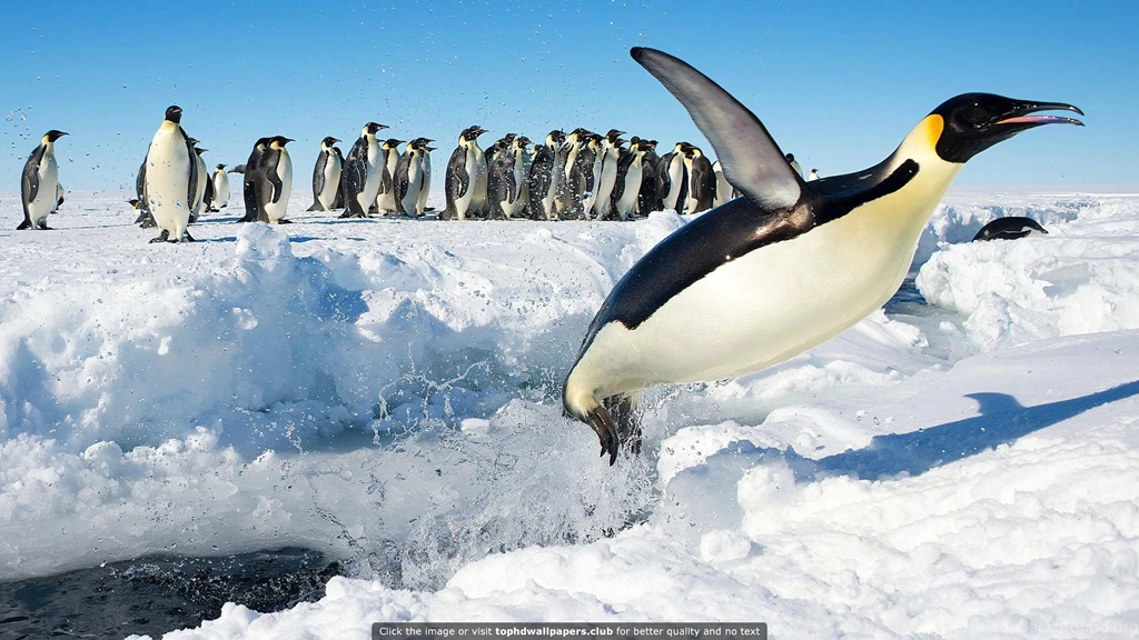 Best Feet 4K Or HD Wallpapers For Your PC, Mac Or Mobile Device