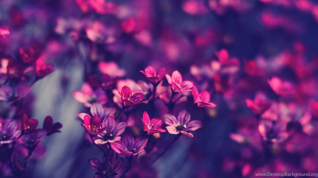 Best hd finest wallpapers tumblr.jpg