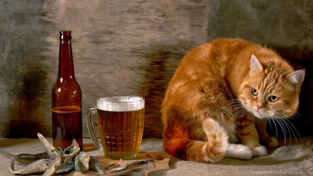 Funny Animal Wallpapers