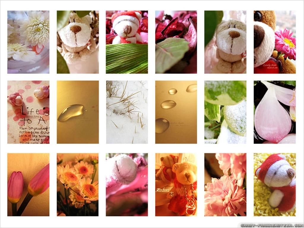 Cell phone Wallpapers Crazy Frankenstein