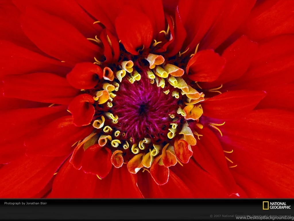 9383_1024x768 wallpaper cb1267712973.jpg