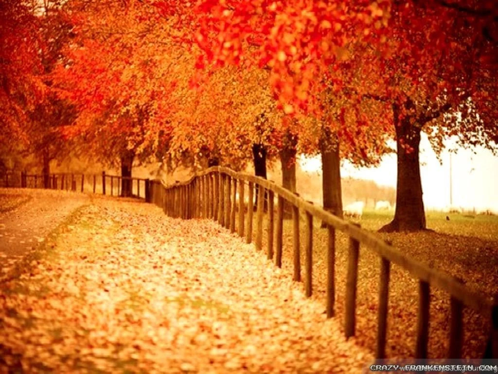 Beautiful Autumn Wallpapers 2   Seasonal   Crazy Frankenstein