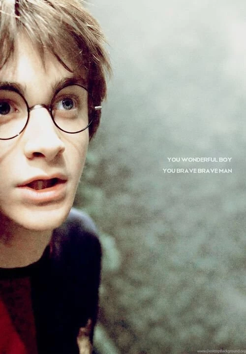 Cool, Fandom, Harry Potter, Hp, Iphone, Love, Me, The Boy Who ...