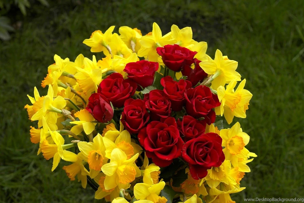 Cute, Flowers, Wallpapers